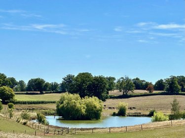 propriete a vendre Ygrande 03160 Allier 968 m2 25 pièces 2625000 euros