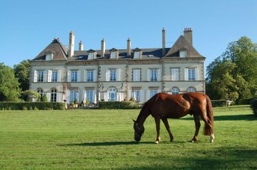 propriete a vendre Ygrande 03160 Allier 968 m2 25 pièces 2625000 euros