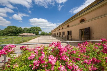 propriete a vendre Ygrande 03160 Allier 968 m2 25 pièces 2625000 euros