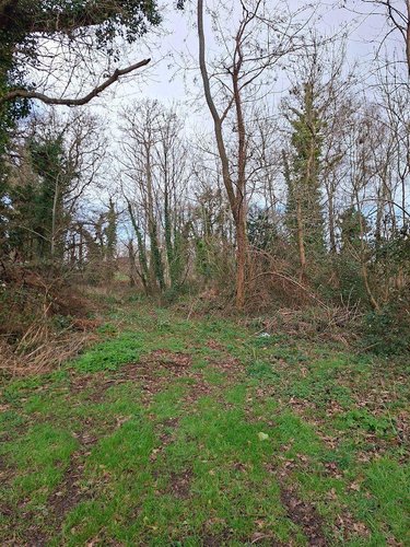 Terrains de loisirs bois etangs a vendre Clohars-Carnoët 29360 Finistère 6204 m2  11800 euros