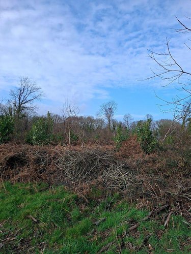 Terrains de loisirs bois etangs a vendre Clohars-Carnoët 29360 Finistère 61717 m2  52950 euros