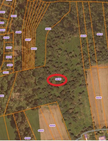 Terrains de loisirs bois etangs a vendre Clohars-Carnoët 29360 Finistère 61717 m2  52950 euros