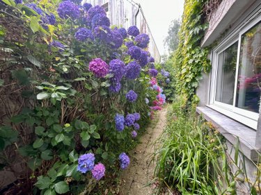 Maison a vendre Cancale 35260 Ille-et-Vilaine 113 m2 5 pièces 569620 euros