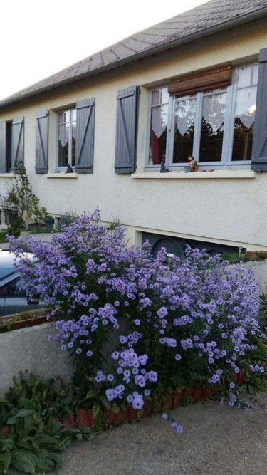 Maison a vendre Saint-Germain-des-Angles 27930 Eure 80 m2  159000 euros