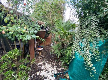 Maison a vendre Bordeaux 33000 Gironde 58 m2 3 pièces 249600 euros