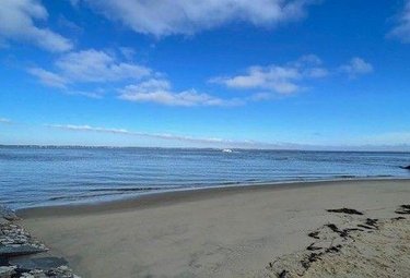 Maison a vendre Arcachon 33120 Gironde 250 m2 11 pièces 5900000 euros