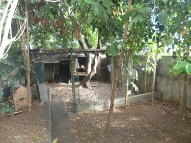 Maison a vendre Les Avirons 97425 Réunion 180 m2 6 pièces 509300 euros