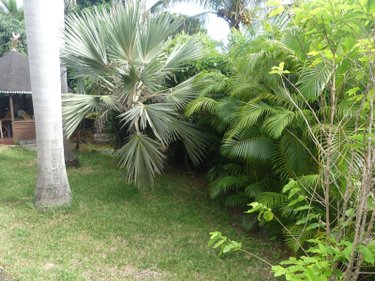 Maison a vendre Les Avirons 97425 Réunion 180 m2 6 pièces 509300 euros