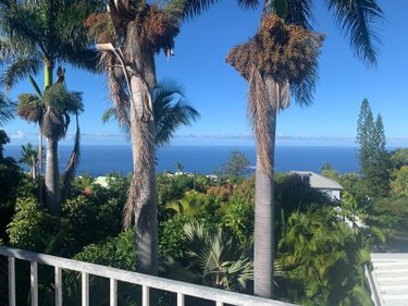 Maison a vendre Les Avirons 97425 Réunion 180 m2 6 pièces 509300 euros