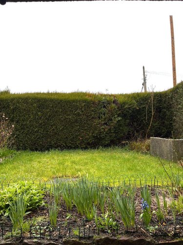 Maison a vendre Baulon 35580 Ille-et-Vilaine 82 m2 5 pièces 177140 euros