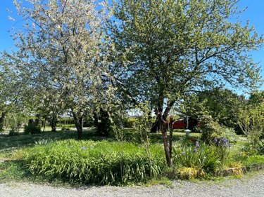 Maison a vendre Lusignac 24320 Dordogne 164 m2 5 pièces 161570 euros