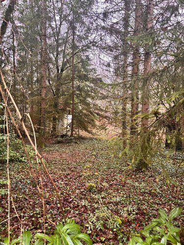 Terrains de loisirs bois etangs a vendre Villedieu 21330 Côte-d'Or 1266 m2  16200 euros