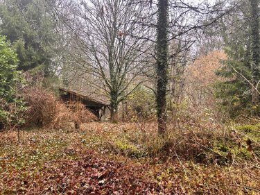 Terrains de loisirs bois etangs a vendre Villedieu 21330 Côte-d'Or 1266 m2  16200 euros