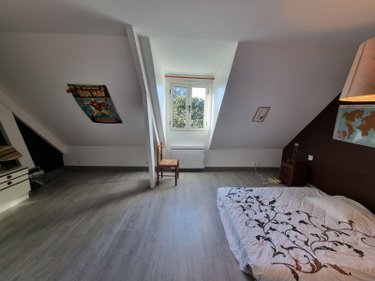 Viager maison Romorantin-Lanthenay 41200 Loir-et-Cher 216 m2 7 pièces 100000 euros