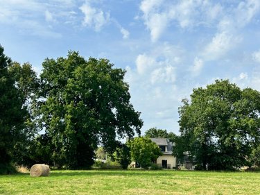 Maison a vendre Rougé 44660 Loire-Atlantique 92 m2 5 pièces 208340 euros