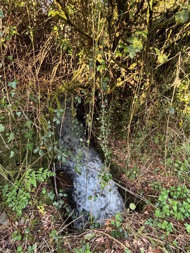 Maison a vendre Landrévarzec 29510 Finistère 124 m2 6 pièces 416000 euros