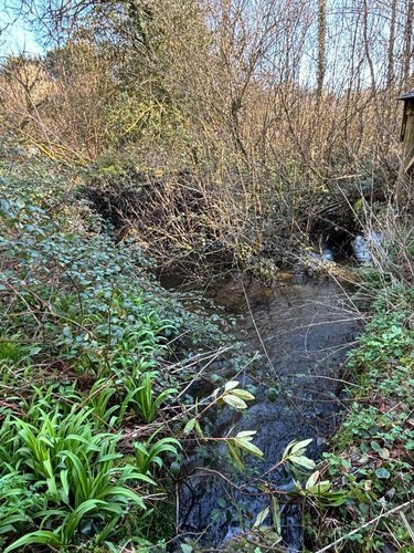 Maison a vendre Landrévarzec 29510 Finistère 124 m2 6 pièces 416000 euros