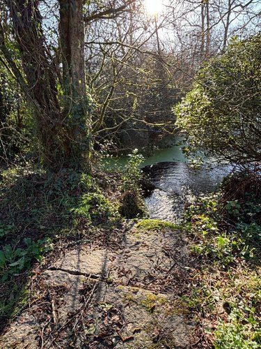 Maison a vendre Landrévarzec 29510 Finistère 124 m2 6 pièces 416000 euros