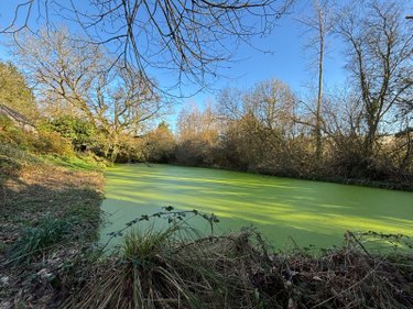 Maison a vendre Landrévarzec 29510 Finistère 124 m2 6 pièces 416000 euros