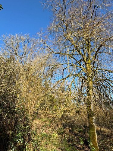 Maison a vendre Landrévarzec 29510 Finistère 124 m2 6 pièces 416000 euros