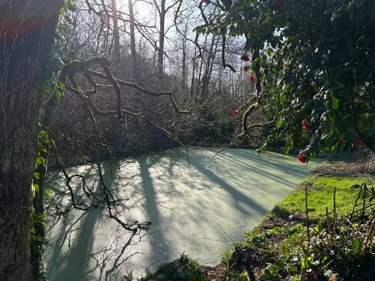 Maison a vendre Landrévarzec 29510 Finistère 124 m2 6 pièces 416000 euros