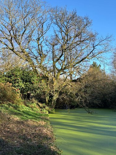 Maison a vendre Landrévarzec 29510 Finistère 124 m2 6 pièces 416000 euros