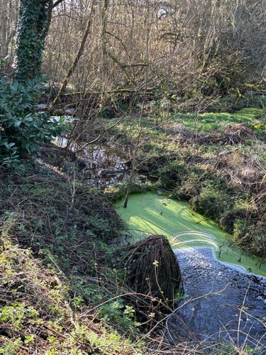 Maison a vendre Landrévarzec 29510 Finistère 124 m2 6 pièces 416000 euros