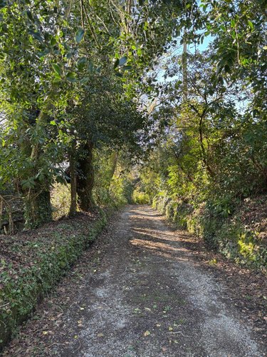 Maison a vendre Landrévarzec 29510 Finistère 124 m2 6 pièces 416000 euros