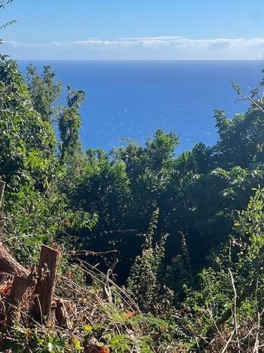 Terrain a batir a vendre Saint-Denis 97400 Réunion 1640 m2  516000 euros