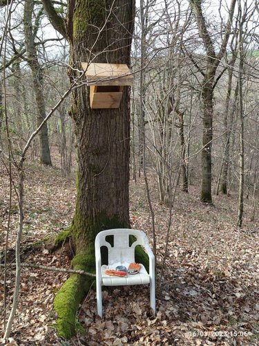 Terrains de loisirs bois etangs a vendre Saint-Denis-de-Méré 14110 Calvados 28700 m2  16700 euros