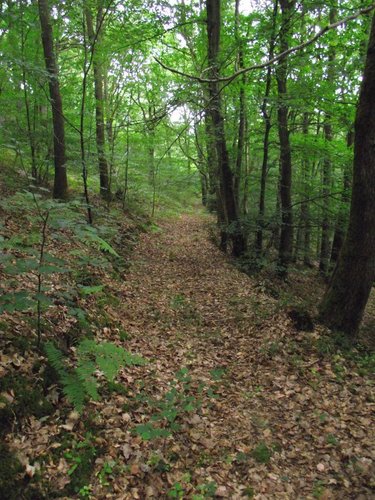 Terrains de loisirs bois etangs a vendre Saint-Denis-de-Méré 14110 Calvados 28700 m2  16700 euros