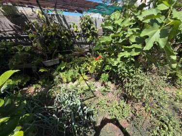 Maison a vendre Le Port 97420 Réunion 92 m2 3 pièces 233600 euros