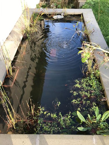 Maison a vendre Sept-Meules 76260 Seine-Maritime 145 m2 5 pièces 226500 euros