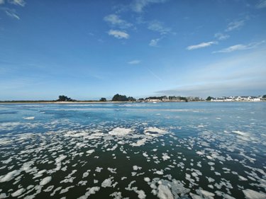 Appartement a vendre Étel 56410 Morbihan 21 m2 1 pièce 73500 euros