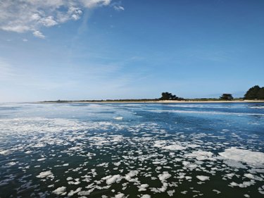 Appartement a vendre Étel 56410 Morbihan 21 m2 1 pièce 73500 euros