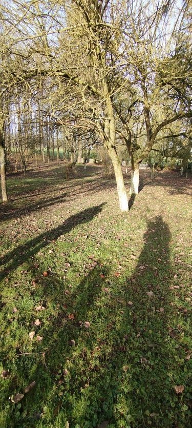 Maison a vendre Lemé 02140 Aisne 82 m2 4 pièces 71240 euros