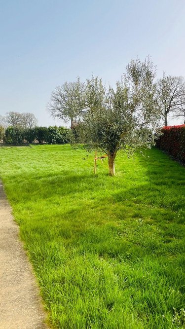 Maison a vendre Balazé 35500 Ille-et-Vilaine 127 m2 6 pièces 276130 euros