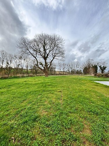 Location maison Saint-Sauveur-des-Landes 35133 Ille-et-Vilaine 82 m2 3 pièces 780 euros