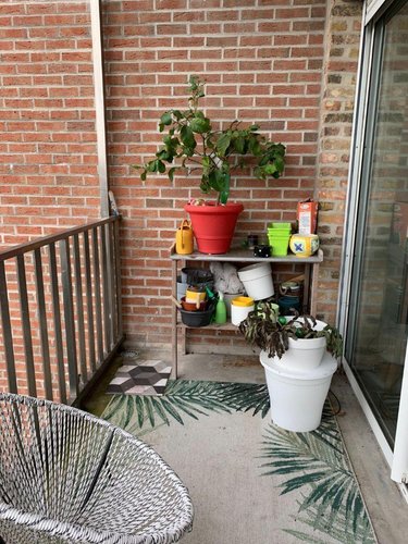 Location appartement Bailleul 59270 Nord 106 m2 4 pièces 863 euros