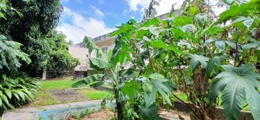 Maison a vendre Sainte-Marie 97438 Réunion 110 m2 6 pièces 265000 euros