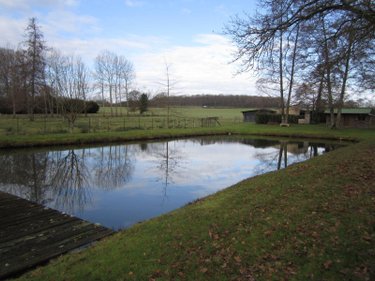 Terrains de loisirs bois etangs a vendre Argenvilliers 28480 Eure-et-Loir 18360 m2  65720 euros