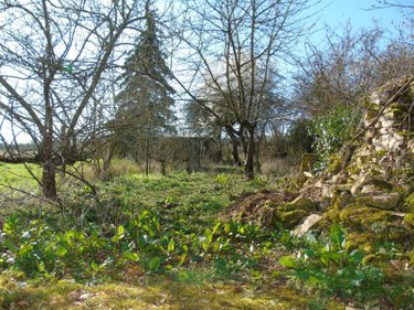 Maison a vendre Givry 89200 Yonne 121 m2 5 pièces 138000 euros