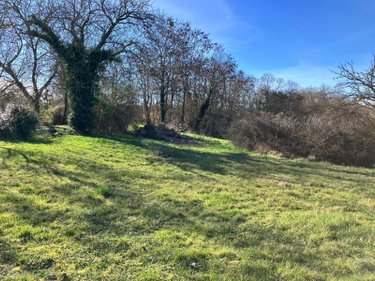 Maison a vendre Marigny 03210 Allier 220 m2 5 pièces 241500 euros