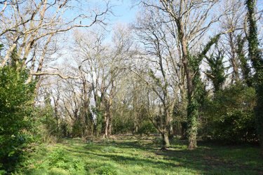 Maison a vendre Trégunc 29910 Finistère 51 m2 2 pièces 126768 euros