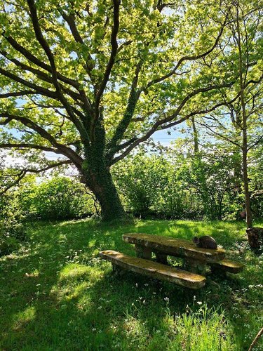 Maison a vendre Riec sur Bélon 29340 Finistère 320 m2 9 pièces 446770 euros