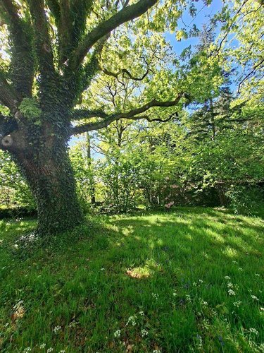 Maison a vendre Riec sur Bélon 29340 Finistère 320 m2 9 pièces 446770 euros