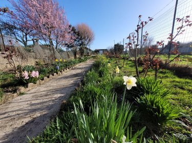 Maison a vendre Boulogne-sur-Mer 62200 Pas-de-Calais 64 m2 4 pièces 121900 euros