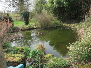 Maison a vendre Irodouër 35850 Ille-et-Vilaine 121 m2 5 pièces 316568 euros