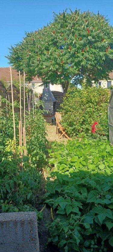 Maison a vendre Moncé-en-Belin 72230 Sarthe 83 m2 4 pièces 189000 euros