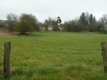 Terrain a batir a vendre Domèvre-sur-Durbion 88330 Vosges 883 m2  23000 euros